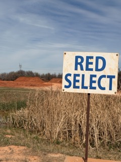 Red select fill